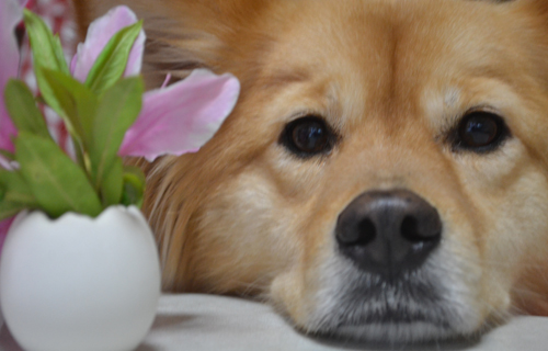 201304N_4772.jpg