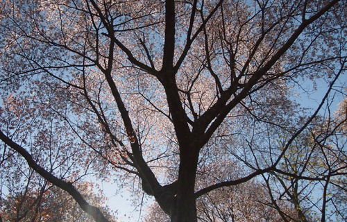 201304P_4636.jpg