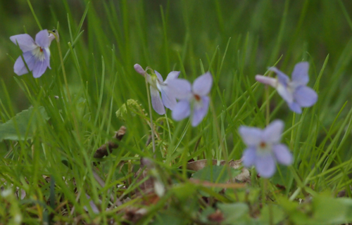 201304P_4757.jpg
