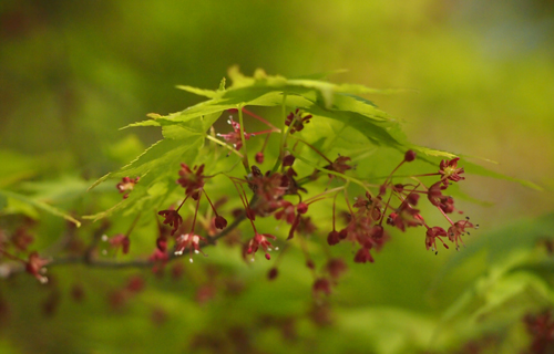 201304P_4761.jpg