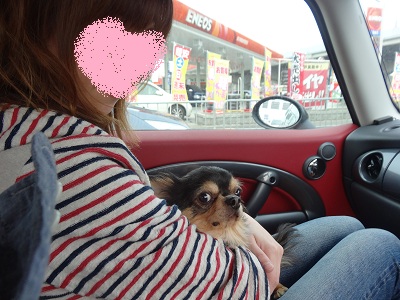 買い物~