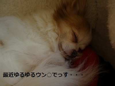 DSC01054.jpg