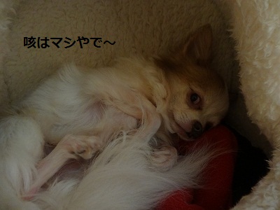 DSC01055.jpg