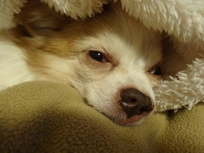 DSC01137.jpg