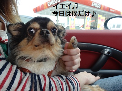 DSC01156.jpg
