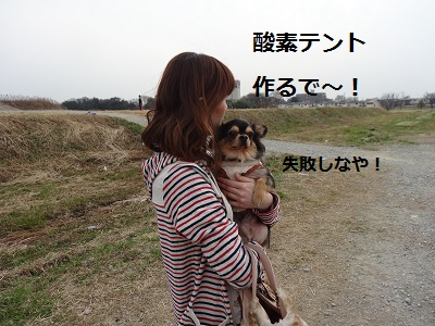 DSC01171.jpg