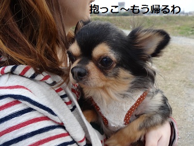 DSC01172.jpg