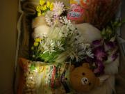 DSC01279.jpg