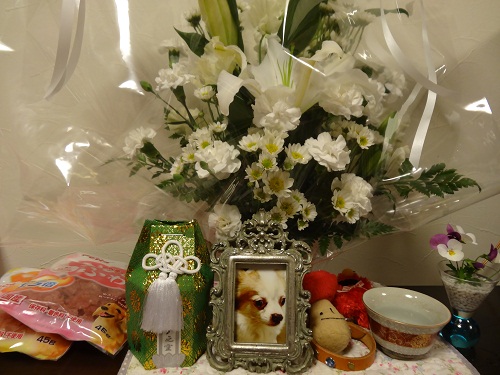 DSC01286.jpg