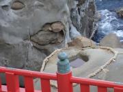 DSC01314.jpg