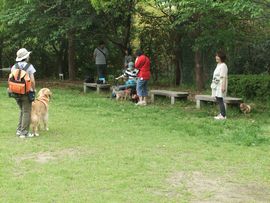 12050507.jpg