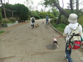 12050528.jpg