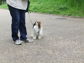 12050539.jpg