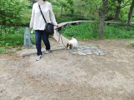 12050552.jpg