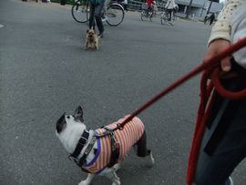 12050556.jpg