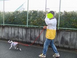 12050801.jpg