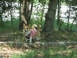 12052005.jpg