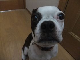 12090403.jpg
