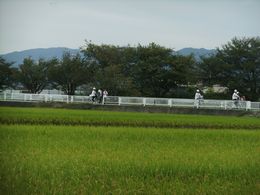 12092419.jpg