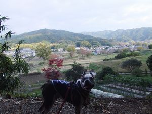 12112005.jpg