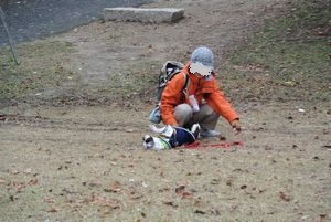 12121031.jpg