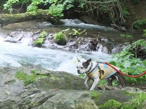 2012070227.jpg