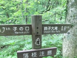 2012070229.jpg