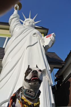 2012070357.jpg