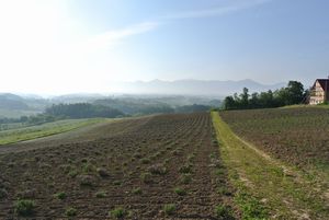 2012070804.jpg
