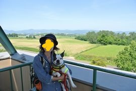 2012070808.jpg