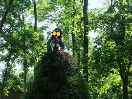 2012070827.jpg