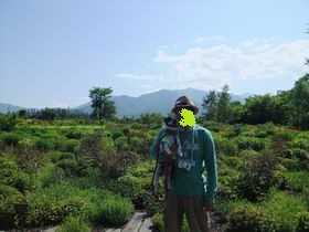 2012070841.jpg