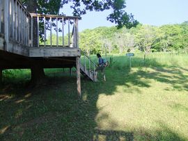2012070850.jpg