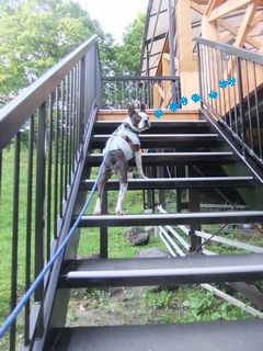 2012071005.jpg