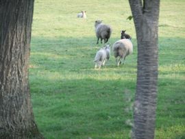 2012071017.jpg