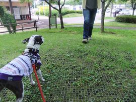 2012071704.jpg