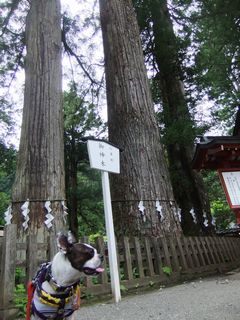 2012071718.jpg
