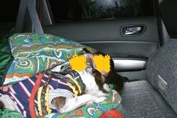 2012071740.jpg