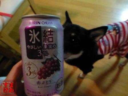 2日目わんパラ11