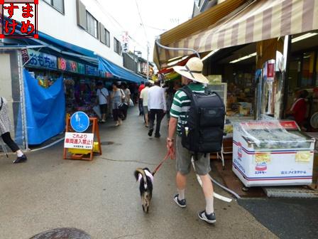千代保稲荷神社3