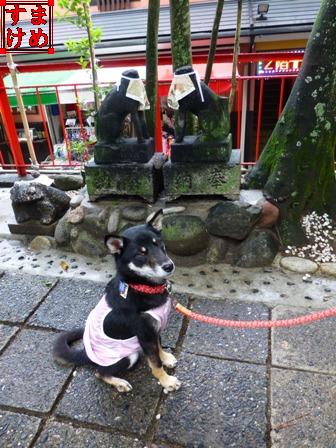 千代保稲荷神社16