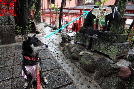 千代保稲荷神社29