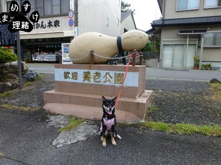 養老4
