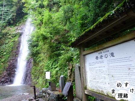 養老15