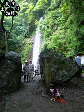 養老14