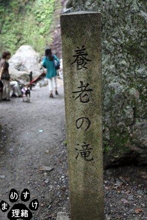 養老21