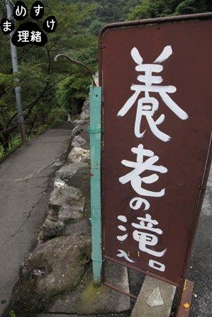 養老20