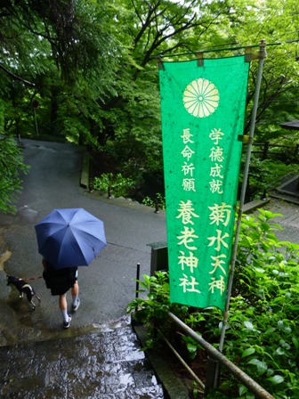 5日目6