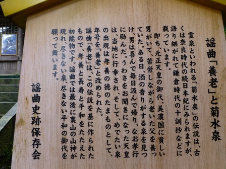 5日目4
