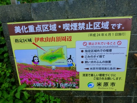 5日目35